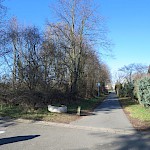 Trotzdem sollte die Gemeinde dort standortgerechte, heimische Gehölze (nach-)pflanzen, die robust genug sind, auch mal spielende Kinder auszuhalten.