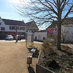 ... es fehlt an Grün, die wenigen verbliebenen Bäume und der neu angelegte Blühstreifen ...