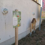 ... sind nur ein schwacher Ausgleich zur sonstigen Steinwüste. Hier muss dringend ein/e Stadtplaner/in ran (für uns als Priorität 3).