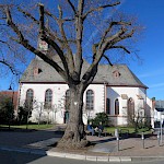 ... wo man mal Grün und Sitzmöglichkeiten (ansonsten Mangelware!) findet ...