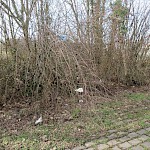 Und noch mehr Müll, aber nirgends Sitzgelegenheiten rund um die Sporthalle.